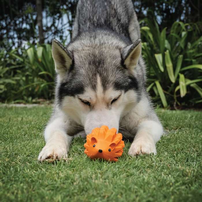 Zuhog Rubber Dog Toy | Zugo | Ultra-Durable Chew & Fetch Toy