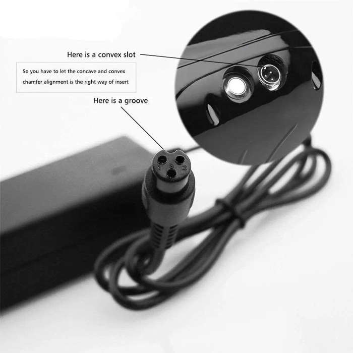 Hoverboard Charger