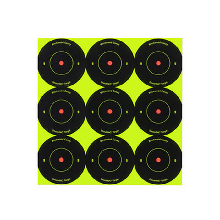 Birchwood Casey Target Shoot-N-C Round 2