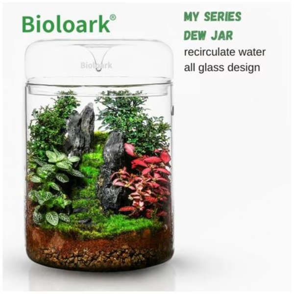 Bioloark Dew Glass Cup MY-180H