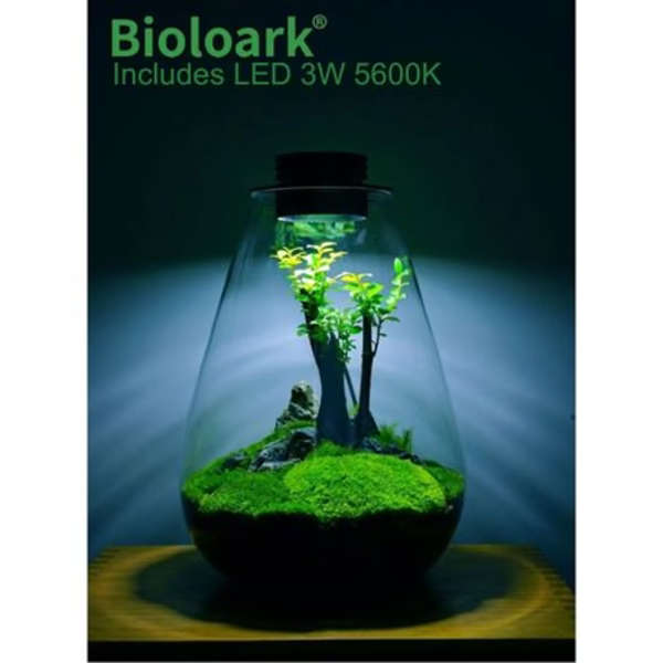 Bioloark Bio SD-175 Bottle Terrarium with USB Powered LED Light