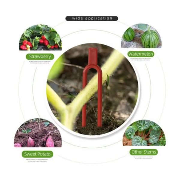 500-Pack Strawberry Runner Fixing Clips - 6 cm U-Shaped Plant Pegs (Red)