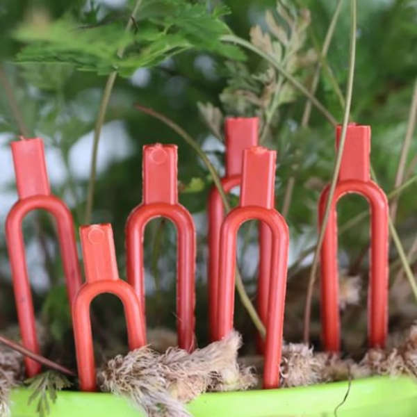 500-Pack Strawberry Runner Fixing Clips - 6 cm U-Shaped Plant Pegs (Red)