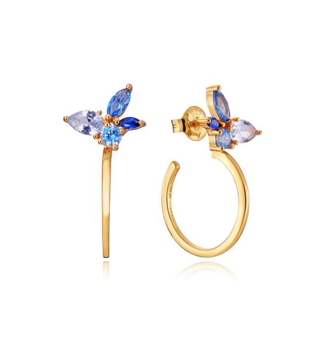 Viceroy Jewels Women's Earrings (13134E100-39)