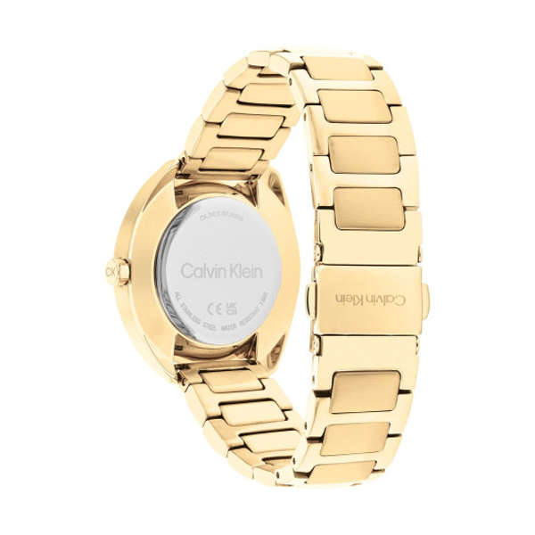 Calvin Klein Women's Watch (25200276)