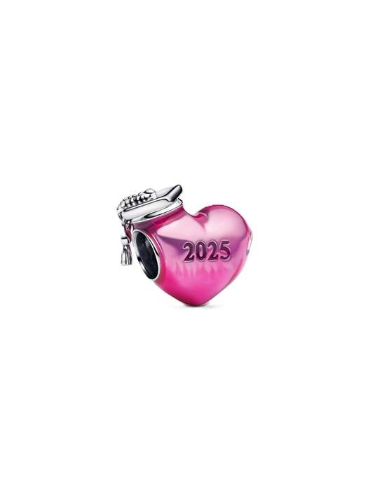 Pandora Women's Charm link (793788c01)