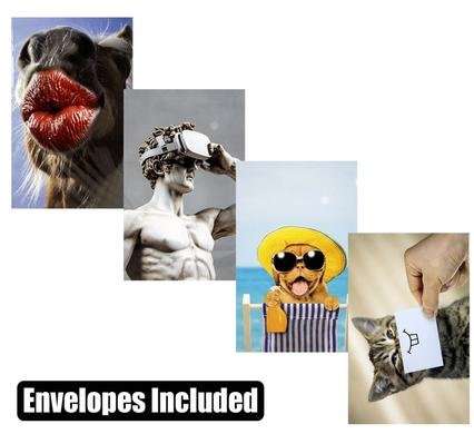 Card & envelope blanks