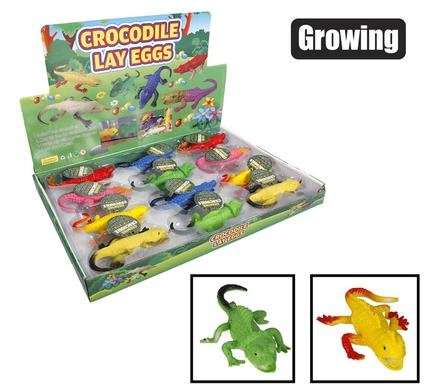 Novelty growing crocodile