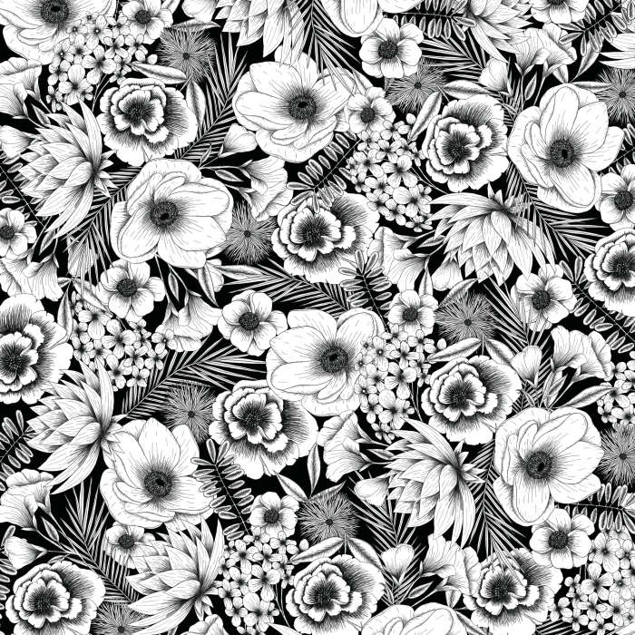 2006781: Cricut infusible ink Transfer Sheets 2-Pack (Black Botanicals)