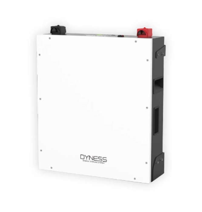 Dyness A48100 48V DC 4.8kWh Lithium Battery