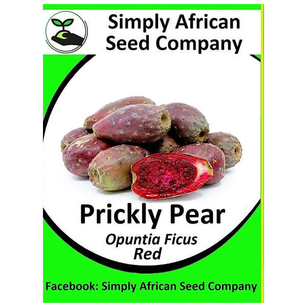 Prickley Pear Red Seeds