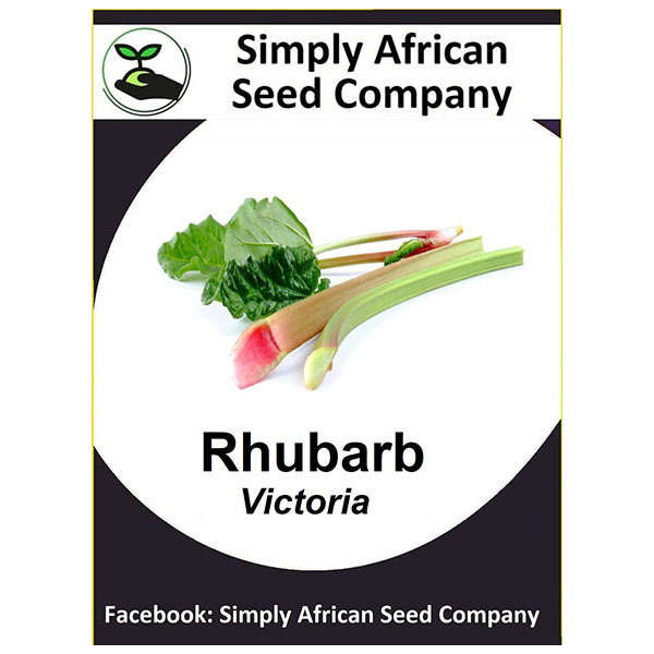 Rhubarb Seeds