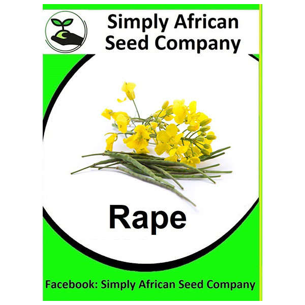 Rape (Rapeseed) Seeds