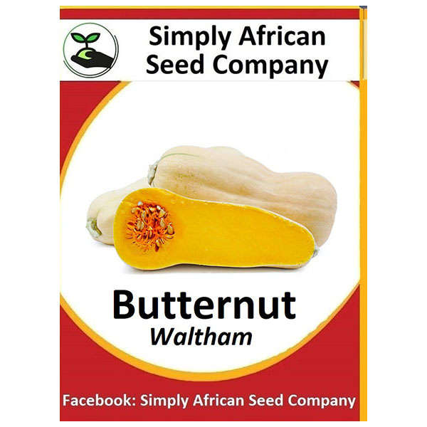 Butternut Waltham Seeds