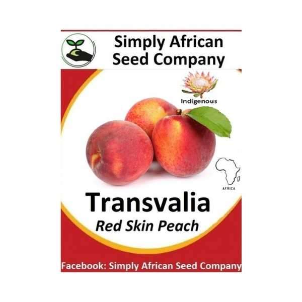 Peach Red Skinned Transvalia 3's