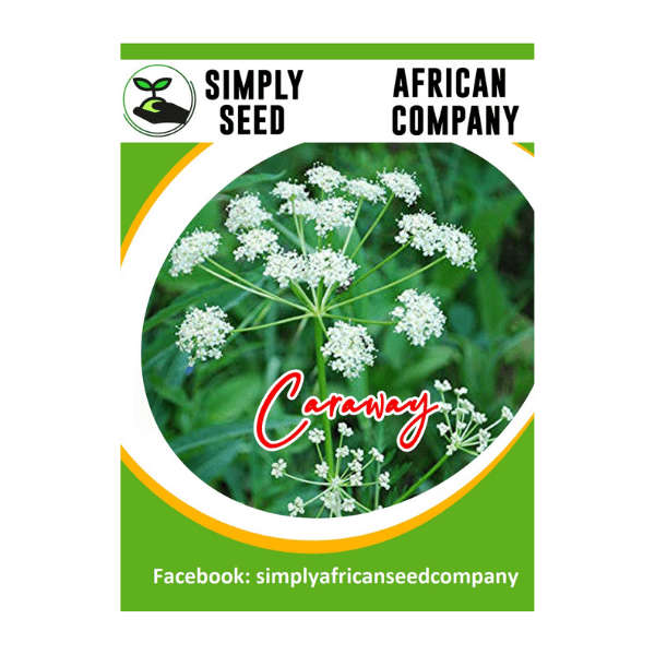 Caraway Seeds