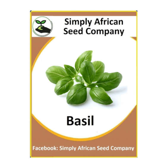 Basil