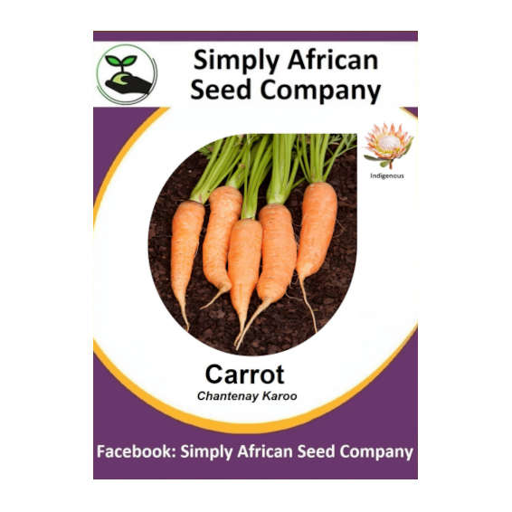 Carrot (Chantenay Karoo) 50's
