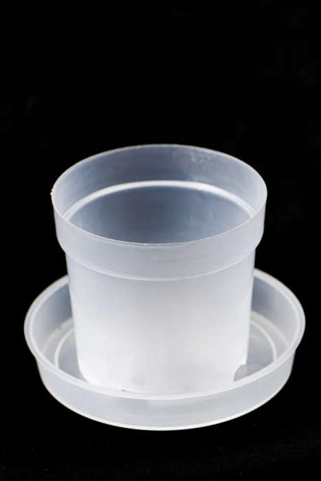 Clear plastic pots