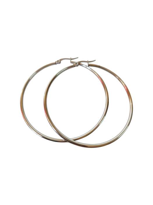1 Pair Hoop earrings, Stainless Steel
