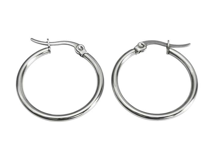 1 Pair Hoop earrings, Stainless Steel