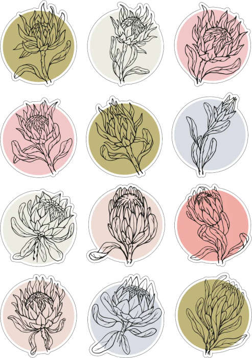 Proteas Sticker Sheet: Vibrant Pastels, Water Colours and Pencil