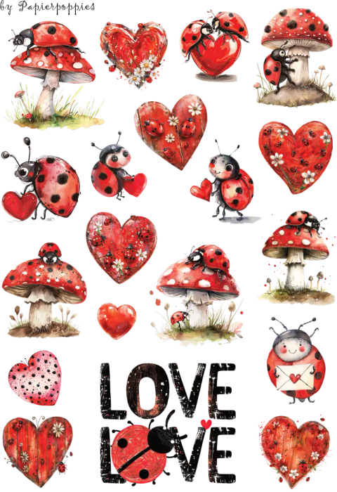 Ladybird Stickers - Stunning Colourful Insect Designs