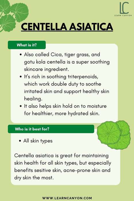 Centella Asiatica Serum