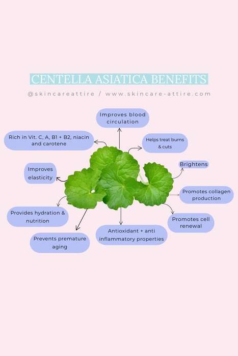 Centella Asiatica Serum