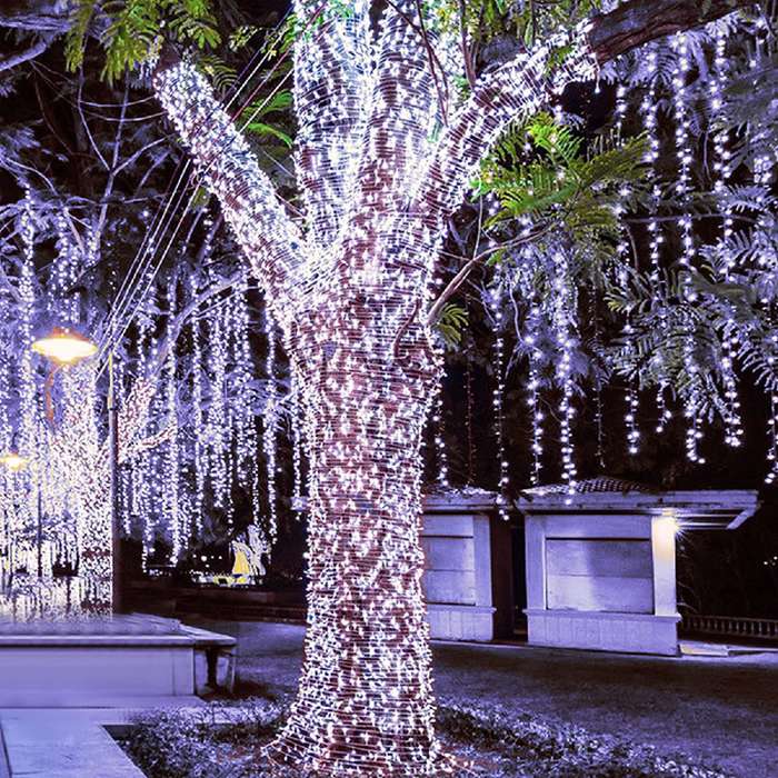 ZYF-D81 LED Inter-Connecting Clear Cable Fairy Light White 20M