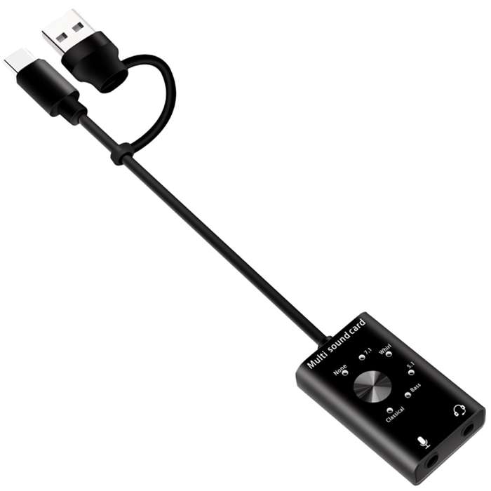 2 in 1 USB Type C Multi-Sound Card