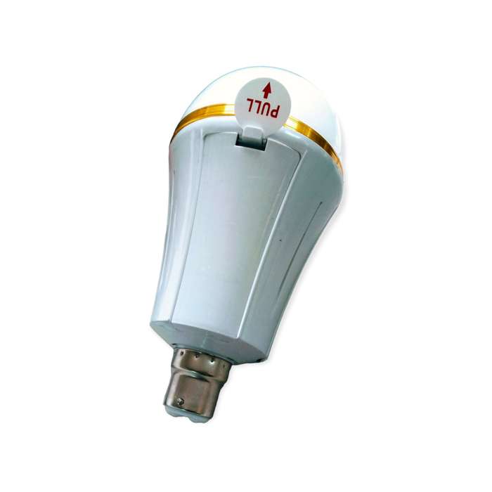 Aerbes AB-Z954  30W Rechargeable LED Bulb Light B22