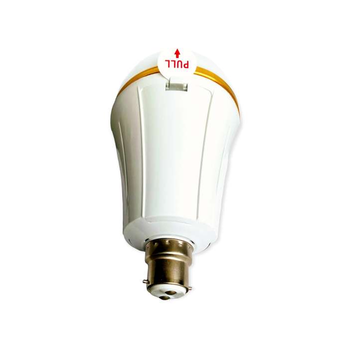 Aerbes AB-Z954  30W Rechargeable LED Bulb Light B22