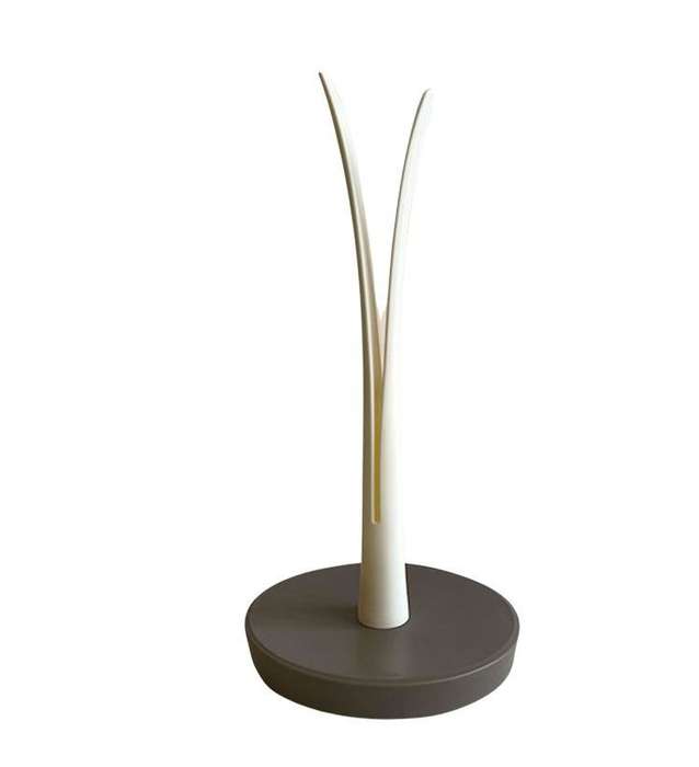 XF0875 Vertical Paper Towel Holder