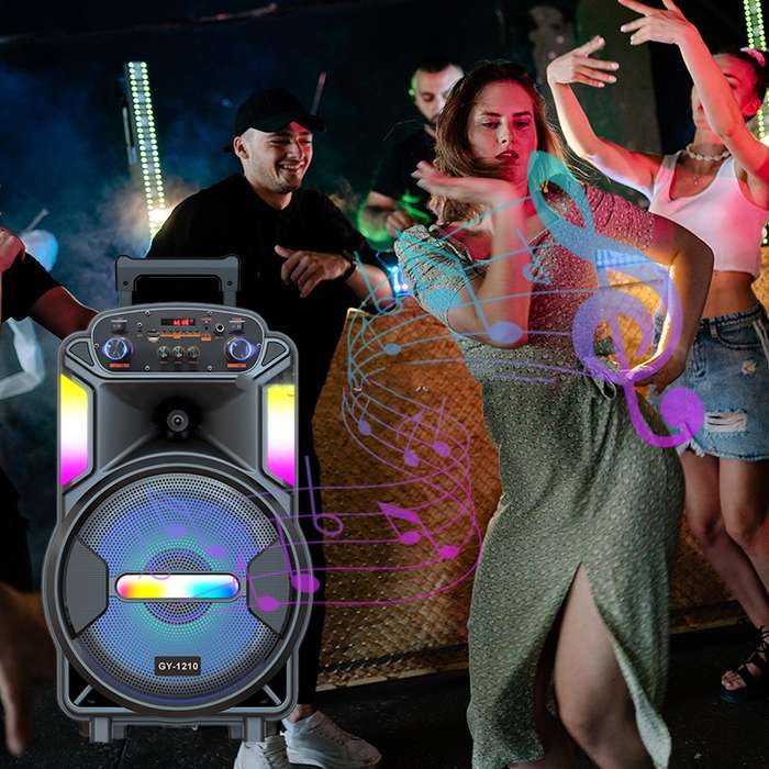 GY-1210 12 Portable Stereo Karaoke Speaker with Single Microphone 60W