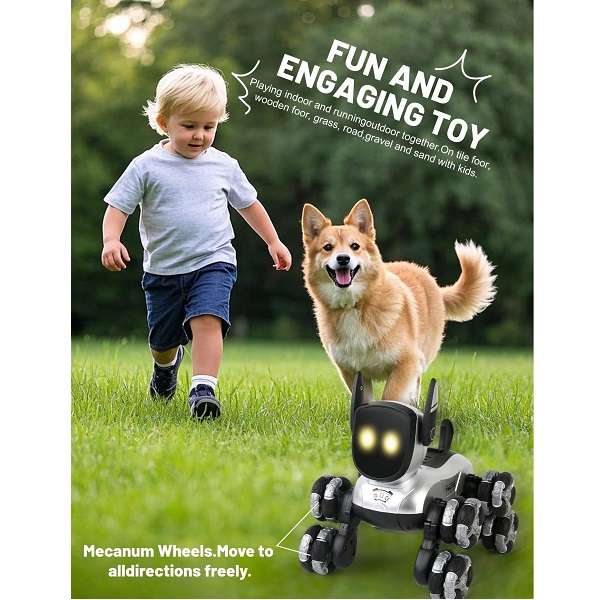 MD574 Mewau 360° Stunt Mechanic 2.4ghz Dog