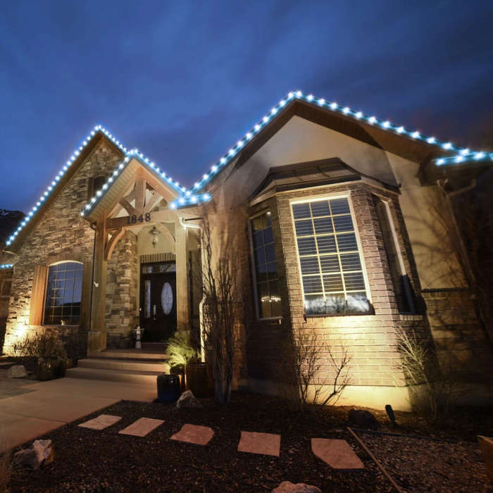 ZYF-D266 Solar Powered Tube Light Copper Wire White 50M With Remote Control