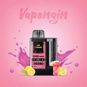 Vapengin Rechargeable Disposable 5500 puff