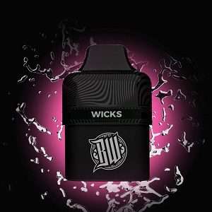Bewolk Wicks Replacement Pods