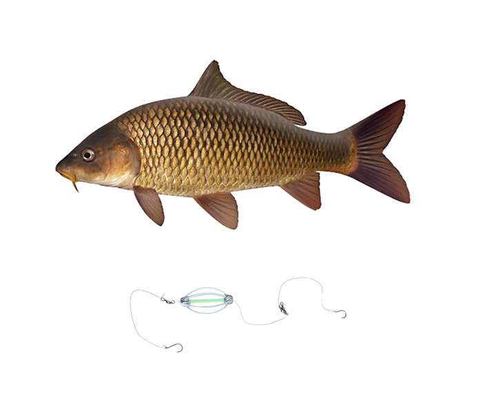 Rietvlei Torpedo Pre-Tied Fishing Trace - 20Piece