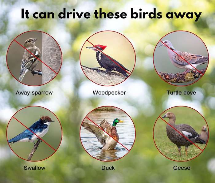 Bird Deterrent Reflective Tape
