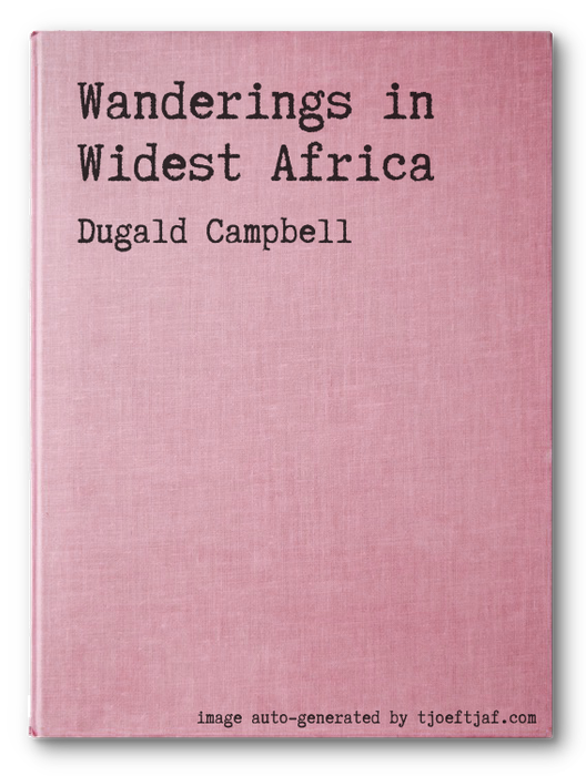Wanderings in Widest Africa