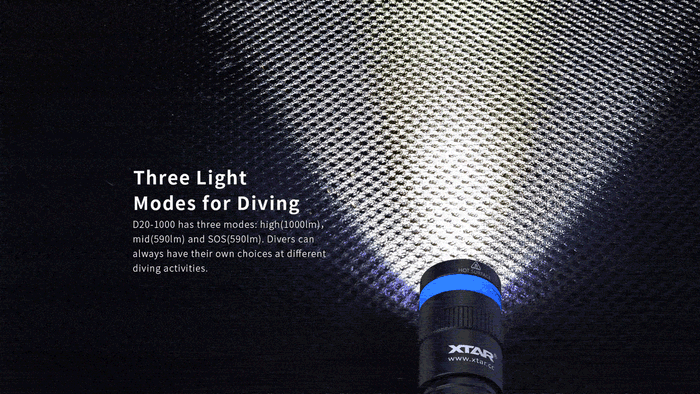 XTAR D20 1000 lumen Dive Light
