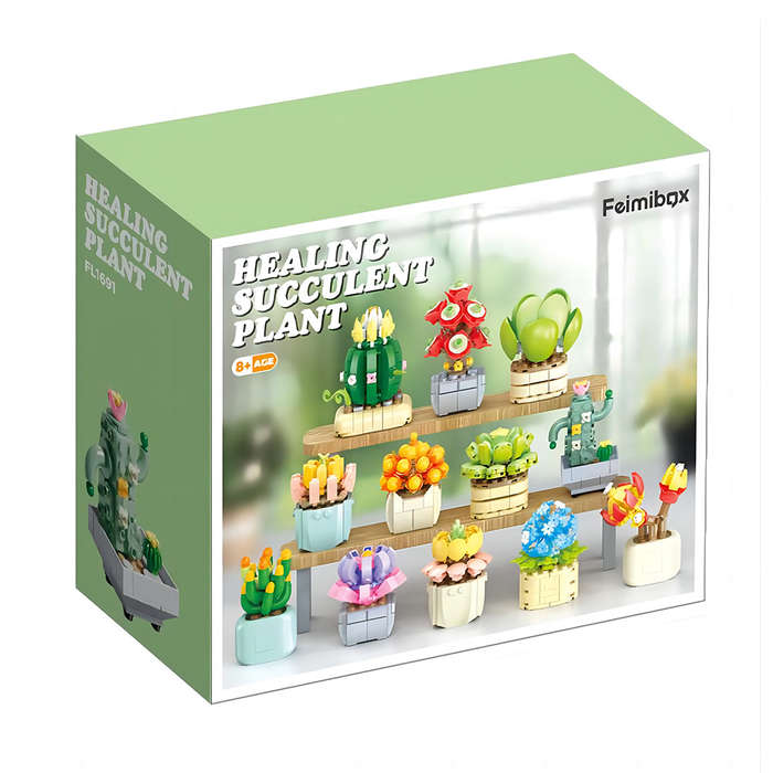 Feelo - Succulent Pot Plants - Set Of 12 - 1051 Pieces