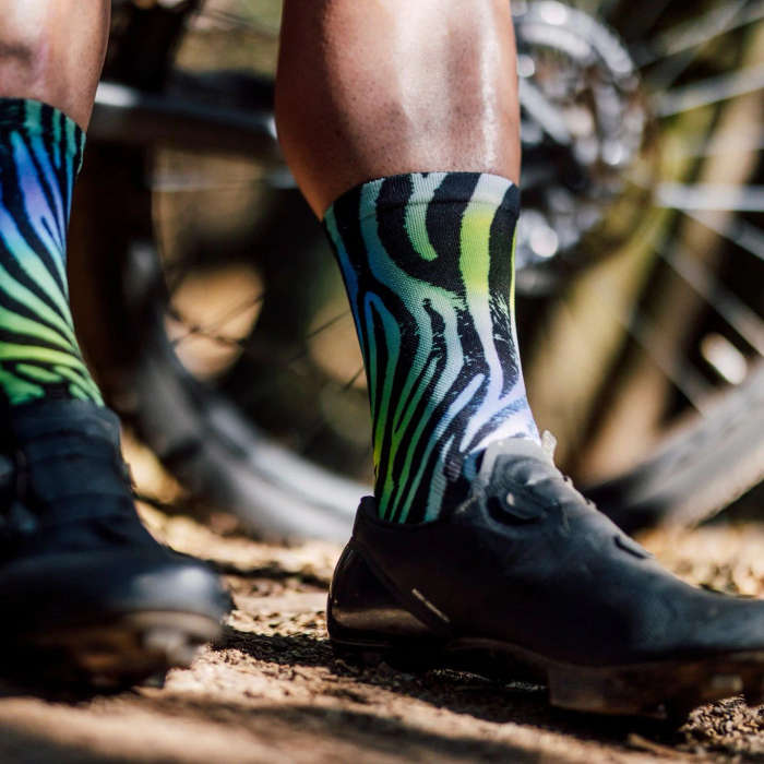 SOX Electric Zebra Socks