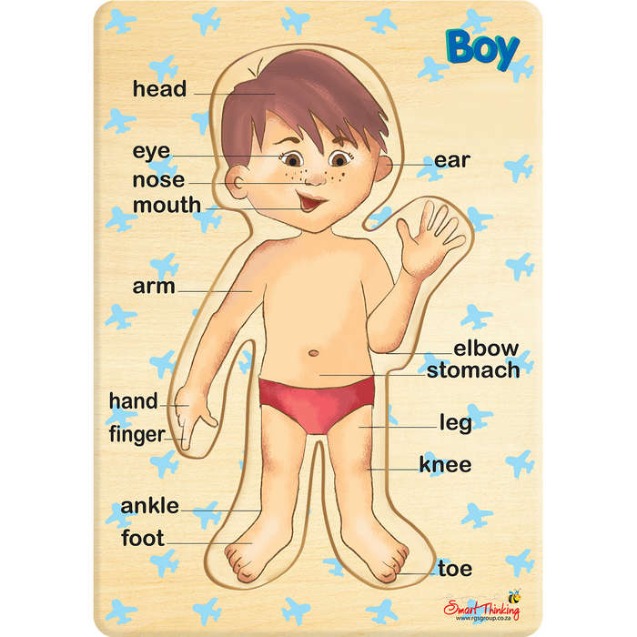 My Body - Boy - Peg Puzzle 6pc