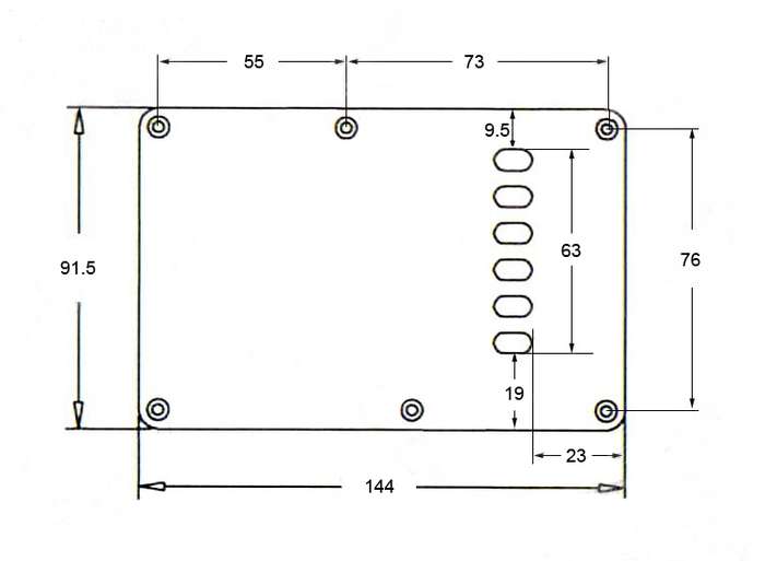 Brown Tortoiseshell Guitar Tremolo Cavity Cover with 6 Individual String Holes
