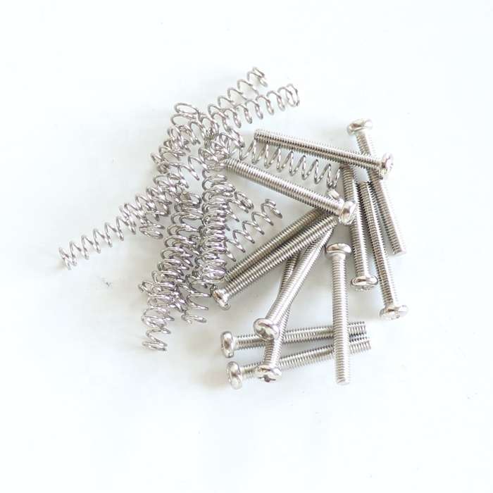 3mm Humbucker Pickup Screw & Spring - Set of 2