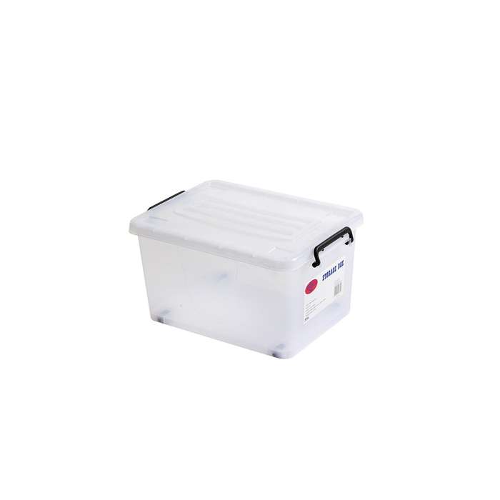 Seagull - Clear Storage Box - M