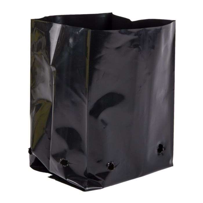 Rje - Plant Bag 125X100X225mm Gf4 2.5L